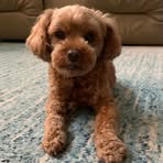Kaitlin Sands - Facebook