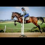 Caitlin Short 🇿🇦 - @caitlinshort_equestrian - Instagram