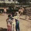 caitlinsmartbothw - @caitlinsmartbothw - TikTok