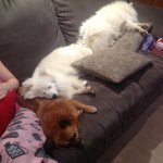 Caitlin Snell - @caitlinemily99 - Instagram