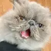 Kaitlyn Solberg - @kaitlynsolberg99 - TikTok