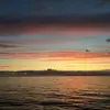 Caitlin Spence - @caitlin.spence1 - TikTok