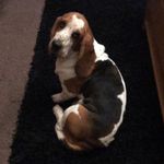 Caitlin Stanley - @caitlin.s.backup - Instagram