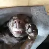 Caitlyn Stanley - @caitlyn.stanley1 - TikTok