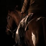 Caitlin Staples - @herds_and_horses - Instagram
