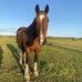Caitlin Stephens - Facebook