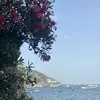 caitlin ⭐️ - @caitlinn.stott - TikTok