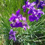 Caitlin Strong - @ckstrongs - Instagram
