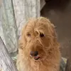 Caitlin_sy - @caitlin_sy - TikTok