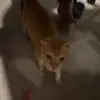 caitlin.jsy1 - @caitlin.jsy1 - TikTok