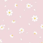 Caitlin Usher - Facebook