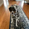 caitlyn wiley - @caitlyn.wiley - TikTok