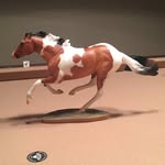 Caitlin Winter - @breyerhorse_lover1122 - Instagram