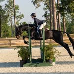 Caitlin Winter - @caitlin_equestrian1 - Instagram