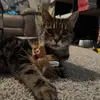 caitlin.wright22 - @caitlin.wright22 - TikTok