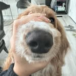 Caitlin Yang - @caitlinyang75 - Instagram