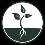 Caitlin Yoder - @root.and.remedy - Instagram