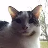 Caitlyn Collins - @user59380990 - TikTok