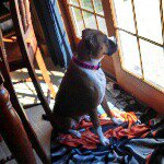 Caitlyn Daugherty - @katydid0202 - Instagram