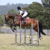 Caitlyn Davis - @caitlyn.davis - TikTok