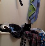 Caitlyn Everett - Facebook