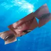 caitlyn4fox - @caitlyn4fox - TikTok