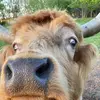 Kaitlyn Kent - @kaitlynkent2 - TikTok