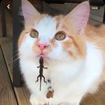 Caitlyn Patton - @caitlyn.patton.395 - Instagram
