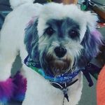 Caitlyn Quinn - @cqgrooms - Instagram