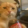 Caitlyn_ray - @caitlyn_ray6 - TikTok