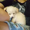 Kaitlyn Rocha - @kaitlyn.rocha7 - TikTok
