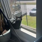Caitlin Sharp - Facebook
