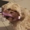 caitlynsharp559 - @caitlynsharp559 - TikTok