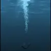 caitlyn.sinclair6 - @caitlyn.sinclair6 - TikTok