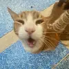 caitlyn - @caitlynstarr - TikTok