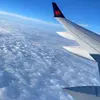 Caitlyn ✈️ - @caitlynsteele99 - TikTok