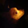 caityjones5 - @caityjones5 - TikTok