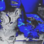 caity-lee - @caitylee5 - Instagram