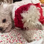 Caiyu Wang - @wcaiyu - Instagram