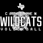 @calallenvolleyball - Instagram