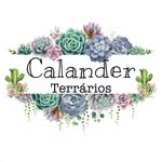 Calander Terrários - @calanderterrarios - Instagram