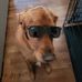 Cal Andrus - Facebook
