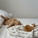 Calvin & Russell - @calandruss - Instagram