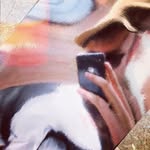 Cal Barnes - @cal.bar.nes - Instagram