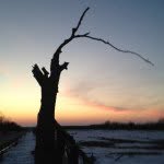Cal Beck - @calbeck59 - Instagram