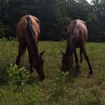 Calberry_Farms - @calberry_farms - Instagram