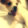 Cali Berry - @caliberry83 - TikTok