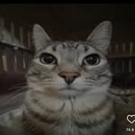 Caleb Black - @cal_black123 - Instagram