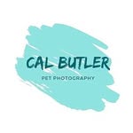 Cal Butler | Pet Photography - @cal_butler_pet_photography - Instagram