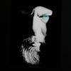 calcallahan311 - @calcallahan311 - TikTok